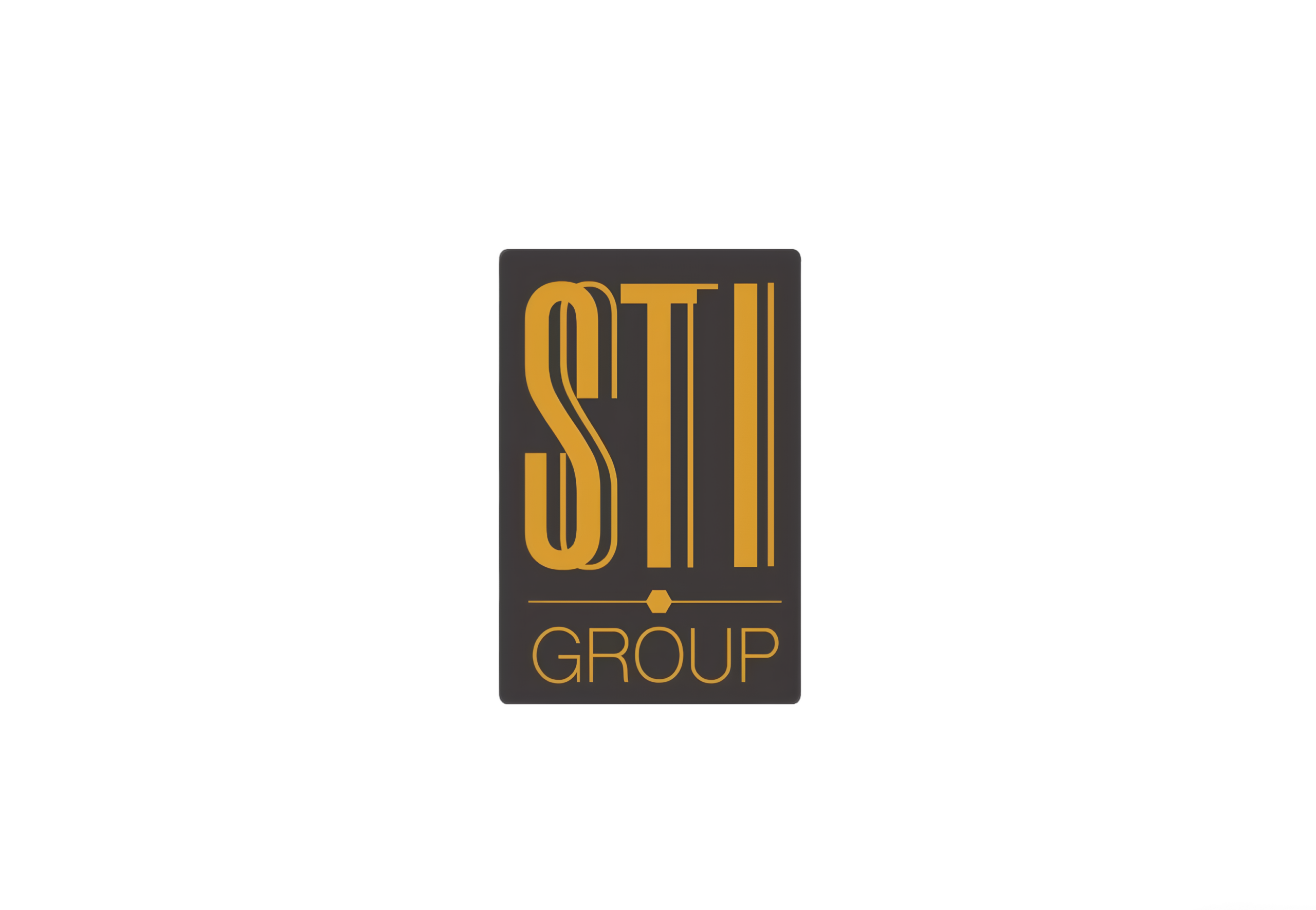 STI (中国) 集团